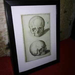 Anatomy oddity decor